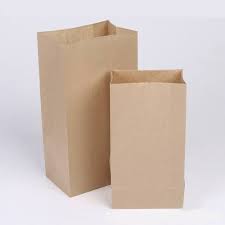 Yard Waste Paper Bags Recycling Guide