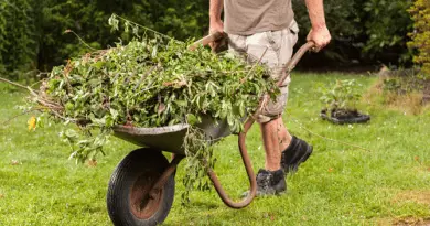 Recommended Garden Wastes Removal Process