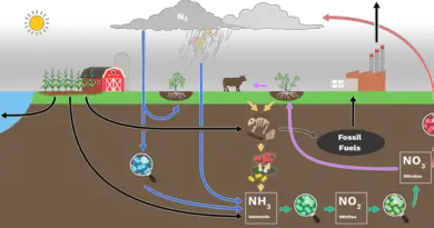 Human Influences on The Nitrogen Cycle