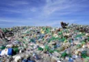 Why the Reuse and Recycling of Plastics are Essential to Waste Management