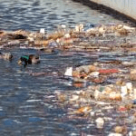 Sources and Types of Water Pollution