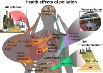 Definition, Forms and Sources of Pollution Abatement and Control