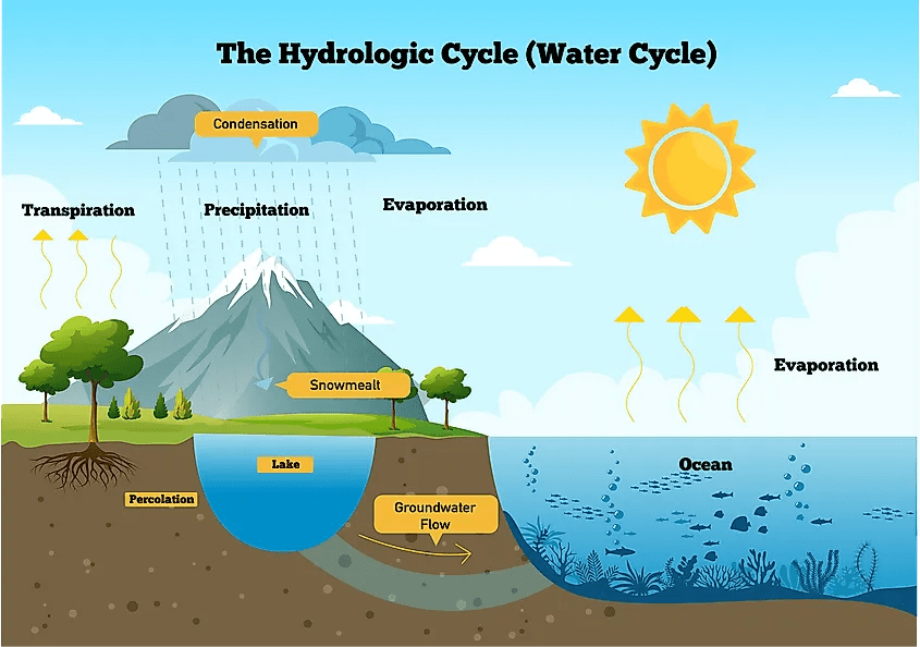 the-water-cycle-infographic-year-7-geography-pinterest-cycling