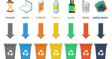The Need for Effective Waste Management Policies
