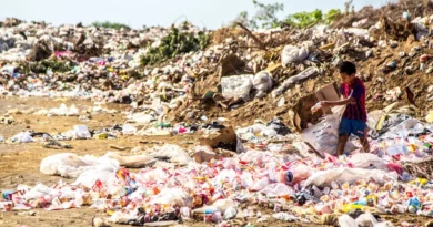 Environmental and Health Effects of Wastes