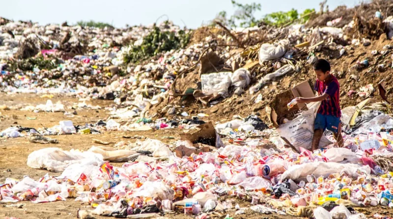 Environmental and Health Effects of Wastes