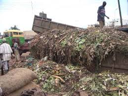 Impact of Agricultural Wastes on Human and Environment