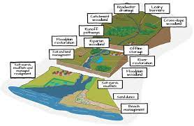 Importance of Drainage Basin