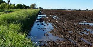 Soil Salinization and Waterlogging in Irrigation