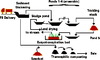 Processes of Sludge Treatment