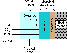 Biological Discs, Activated Sludge and Oxidation Pond Process