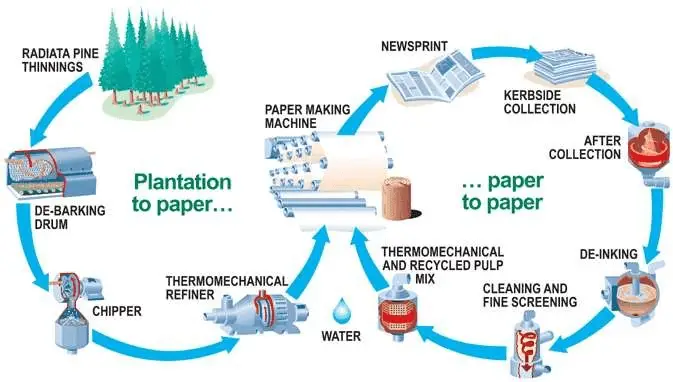 Materials Recycling Process and Steps in Paper Recycling