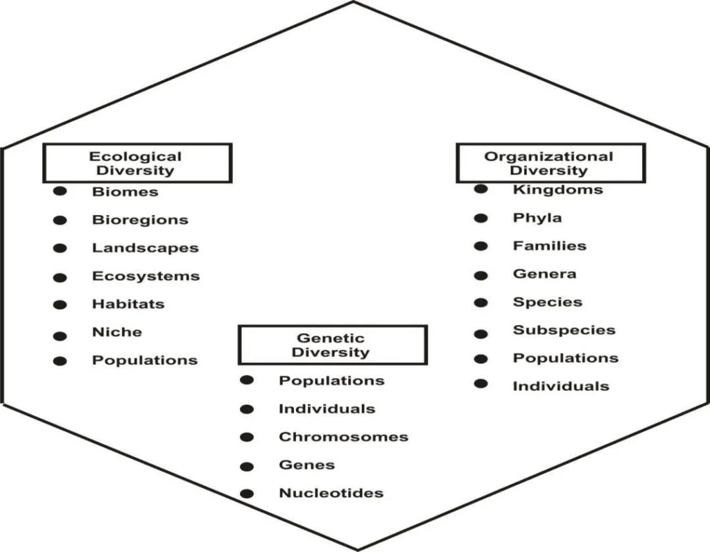 Ecosystem Diversity and Classification