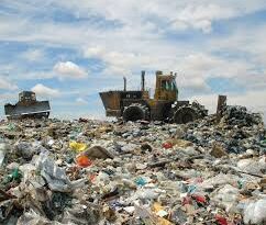 The Effect of Solid Waste on Business Environments