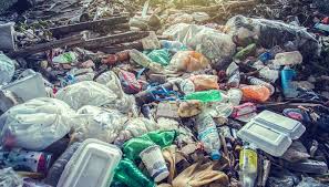 Effects of Solid Waste on the Environment
