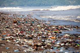 The Impact of Inefficient Waste Management on Oceans