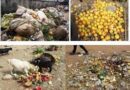 Agricultural Waste Generation Sources and Characteristics