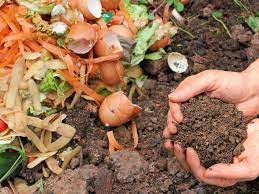 How to Make Compost from Kitchen Waste