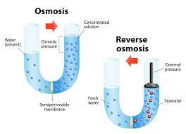 Problems and Prospects of Reverse Osmosis