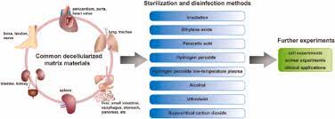Applications of Sterilization Process