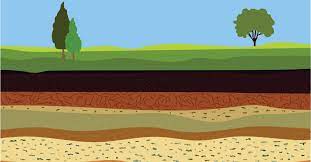 5 Factors of Soil Formation and Composition of Factors