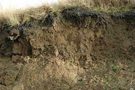 5 Factors of Soil Formation and Composition of Factors