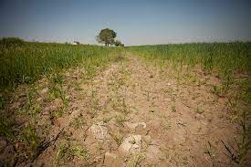 Agricultural Land Degradation or Improvement