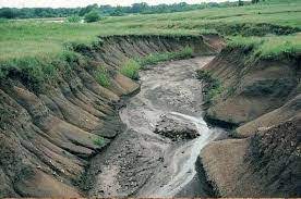 Soil Erosion: Meaning, Types and Factors of Soil Erosion
