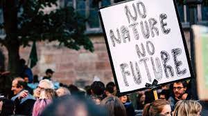 Environmental Activism and Problems of Environmental Activism