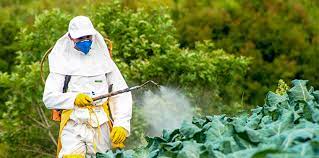 Effects of Pesticide Abuse in Less Developed Countries (LDCs)