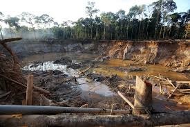 Impacts of Mining Projects on Wildlife
