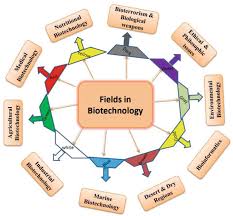 Classification of Biotechnology