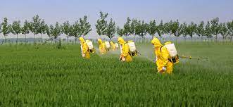 Guide to Safe Use of Pesticides