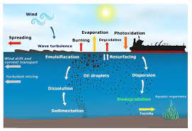 Application of Biomarkers in Oil Pollution Monitoring