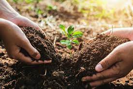 Soil Conservation: Meaning, Categories and Soil Management Practices