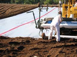 Soil Fumigation, Importance and Types of Fumigation