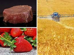Sources of Pesticide Residue Contamination of Meat and Dairy Products