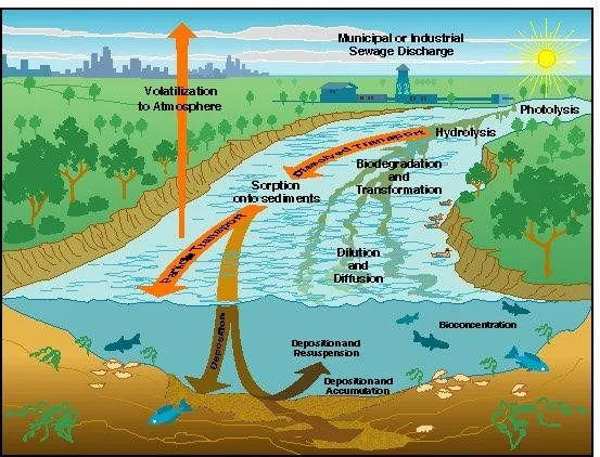 Oil Pollution in the Environment: Extent, Effects, Sources and Fate