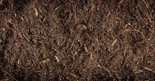 Constituents of Soil: Mineral Matter, Organic Matter, Soil Air and Soil Water