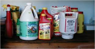 Additional Precautions for Special Classes of Pesticides