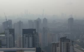 Causes of Urban Environmental Degradation