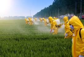 Concerns about Hazardous Pesticides and Weak Regulations