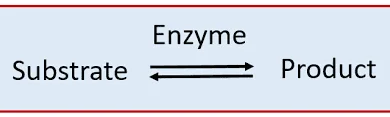 Pesticide Conversion Mechanisms in the Environment Enzymatic Conversion