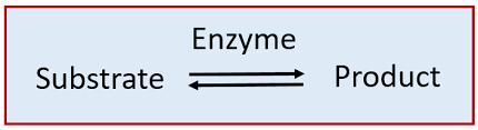 Pesticide Conversion Mechanisms in the Environment Enzymatic Conversion