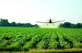 Transport of Pesticides in Surface Waters