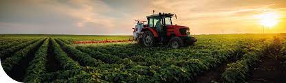 Human Health Risk Assessment of Pesticide as Representative Xenobiotic
