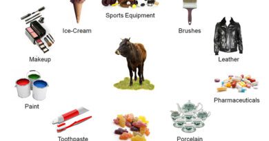 How to Generate Money from Animal by-products