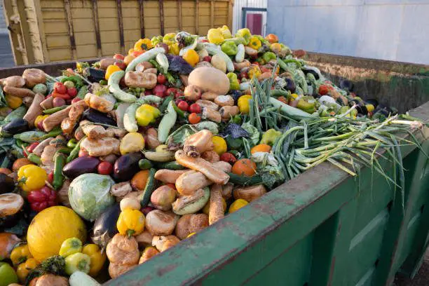 The Products Derived From Food Waste 