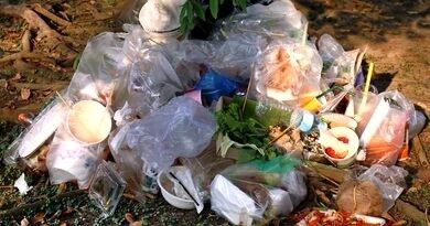 waste plastic garbage dump pile 260nw 777668221