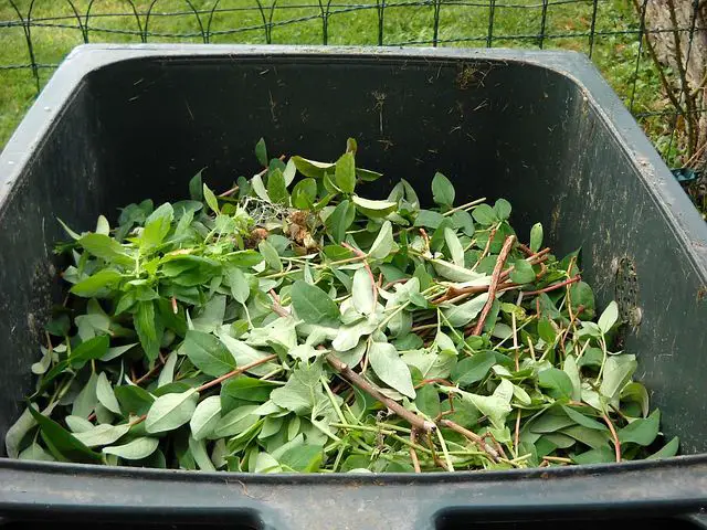 Green Waste Complete Management Guide